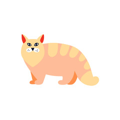 Основные RGB