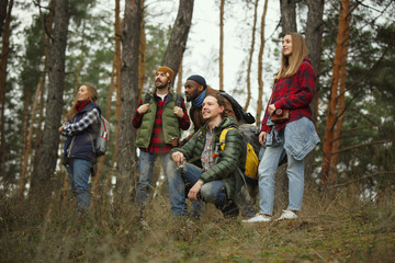 Group of friends on a camping or hiking trip in autumn day. Men and women with touristic backpacks going throught the forest, talking, laughting. Leisure activity, friendship, weekend.