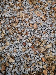  stones and dry autumn leaves