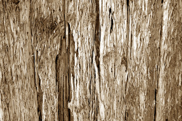 Old grungy wooden wall in brown tone.