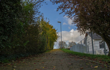 Fototapeta na wymiar road through the park and houses