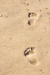 footprints in the sand