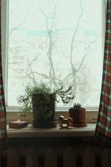  Room, window. On the windowsill are potted plants, a candle and a wooden toy horse. Curtains hang in a cage.