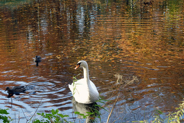 Netherlands. Autumn in The Hague