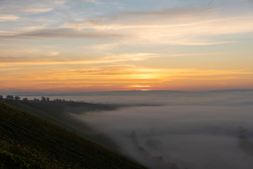 Fototapeta na wymiar Sonnenaufgang in den Weinbergen über dem herbstlichen Main im Nebel