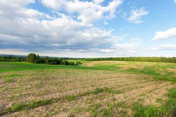 agricultural field