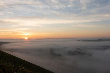 Sonnenaufgang in den Weinbergen über dem herbstlichen Main im Nebel