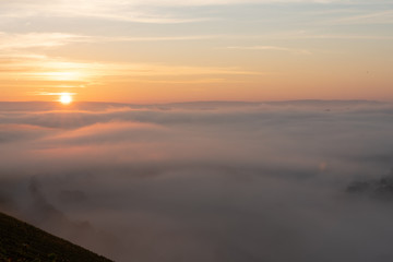 Sonnenaufgang in den Weinbergen über dem herbstlichen Main im Nebel
