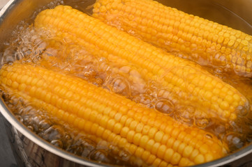 A few ears of corn are cooked in a saucepan. Healthy diet. Fitness diet. For a sweet treat. Close up.