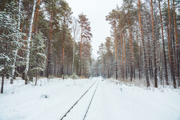 Fototapeta premium Koleje przez piękny zimowy las. Zimowy krajobraz z obfitymi opadami śniegu.