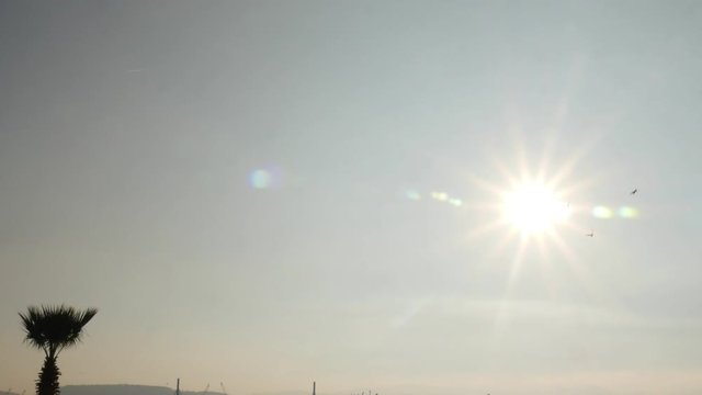 Flock of birds passing trough from camera against the backdrop of the sun.
