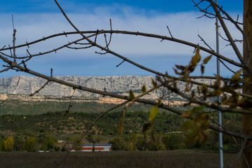 mountain view through the trees