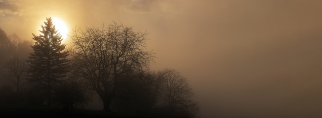 Mystische Landschaft im Morgennebel bei Sonnenaufgang, Banner oder Hintergrund