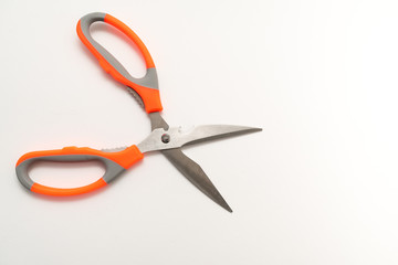 kitchen scissors close-up on white background