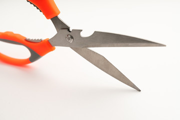 kitchen scissors close-up on white background