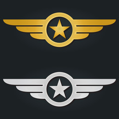 Star with wings logo. Military and Army winged badges. Golden and Silver Aviation emblems. Vector illustration. © metelsky25