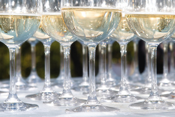 Glasses of prosecco white wine on a table. Italian wine concept.