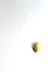 Peeled one garlic clove on a white background.