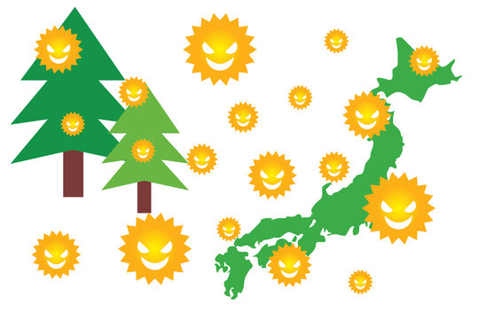 2 343 Best 杉の木 Images Stock Photos Vectors Adobe Stock