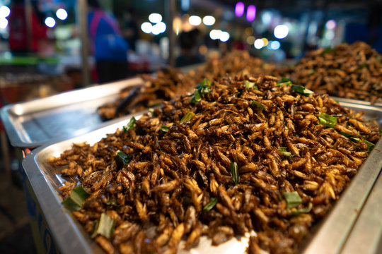 Fried insects street food in bangkok thailand