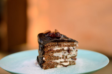 Delicious homemade sponge cake with sour cream with cranberries, decorated with chocolate icing and nuts