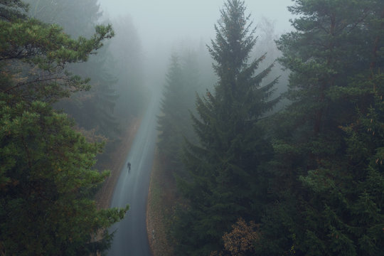 Luftaufnahme von Rennradfahrer bei Nebel im Wald