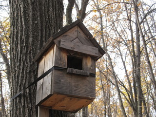 old bird house hanging from the tree in autumn forest