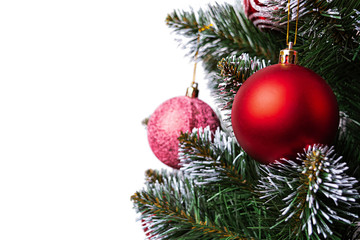Fototapeta na wymiar New Year background. Isolated Christmas ball on branch of spruce tree
