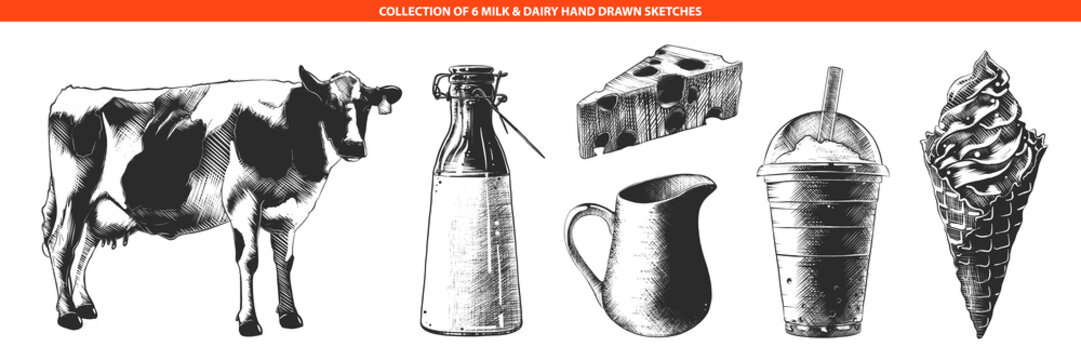 Vector engraved style illustrations of milk products and dairy, cheese, ice cream, milkshake, cow. Hand drawn sketches in monochrome isolated on white background. Vintage woodcut style drawing.