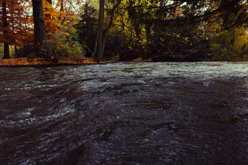 A fast Eisbach stream, river on an autumn, fall day in the Englisher Garten park, Munich, Germany