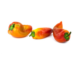 Red peppers on a white background