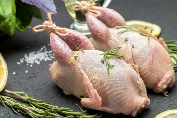 Fresh raw meat quails with herbs and greens rosemary, basil ready for cooking on close-up. Uncooked...