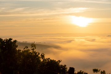 Fototapeta premium Sonnenaufgang über den Weinbergen am nebelverhangenen Main