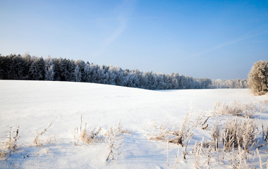 winter landscape with snow