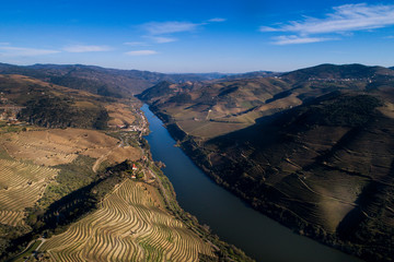 Aerial scenic view of the Douro River and Valley with terraced vineyards along the banks of the river, in Portugal.