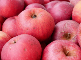 Natural and healthy red apples, freshly picked in the garden, in late autumn
