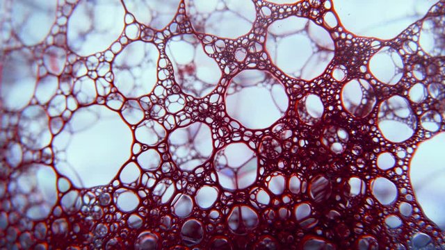 Microscopic view of foam structure, blood fluid flow, laboratory research