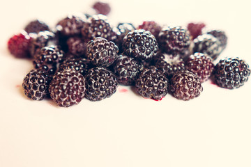 Raspberry sweet black garden on a white background.