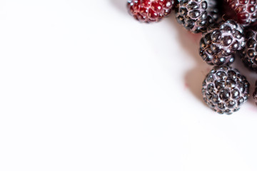 Red and black raspberries closeup on a white background.