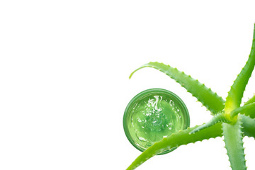 Flat lay with aloe leaves. Aloe Vera Gel in circle box isolated on white background, top view. Space for text