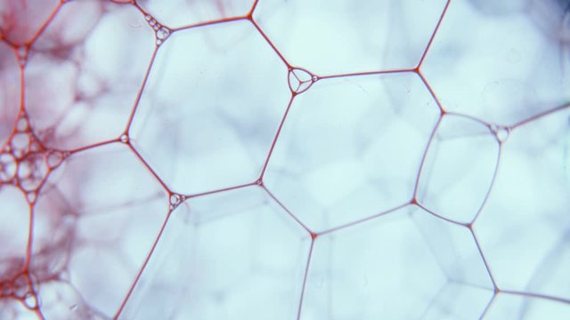 Microscopic view of foam structure, blood fluid flow, laboratory research