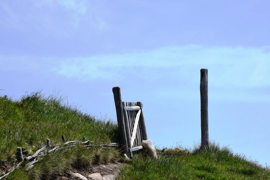 Evasion