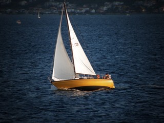sailing