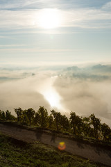 Blick auf den Main im Frühnebel