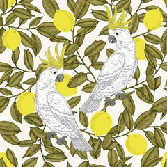 Seamless vector pattern with cockatoo and lemon branches. Background with parrots and lemons for surface design
