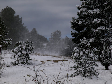 Ventisca de invierno en paisaje nevado