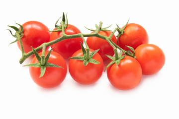 red tomatoes with white background. Group of tomatoes