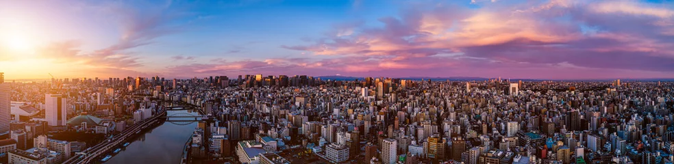 Rolgordijnen Panorama van het centrum van Tokio bij dageraad, Japan © fenlio