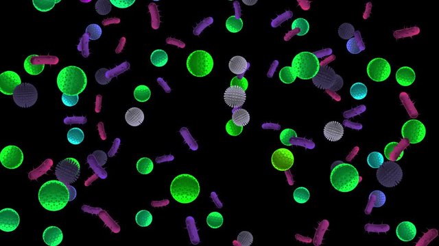 Animated Germs Bacteria Virus Floating around Video Clip with transparent background Alpha Channel UHD 4K Full HD resolution