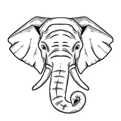 Elephant portrait isolated on white background. hand drawn sketch style  vector illustration